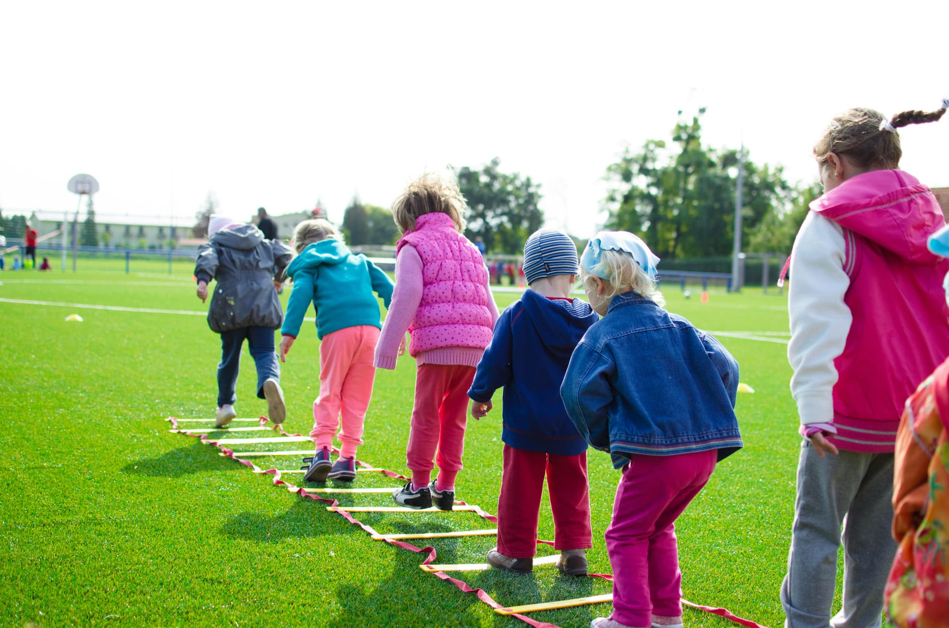 Developmental milestones